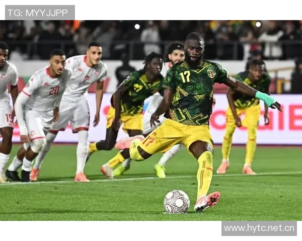 突尼斯足协财务危机曝光欠薪严重止步非洲杯16强内幕令人震惊